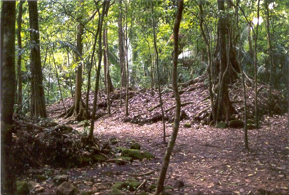 Ceibal : ruines du jeu de balle dans la jungle