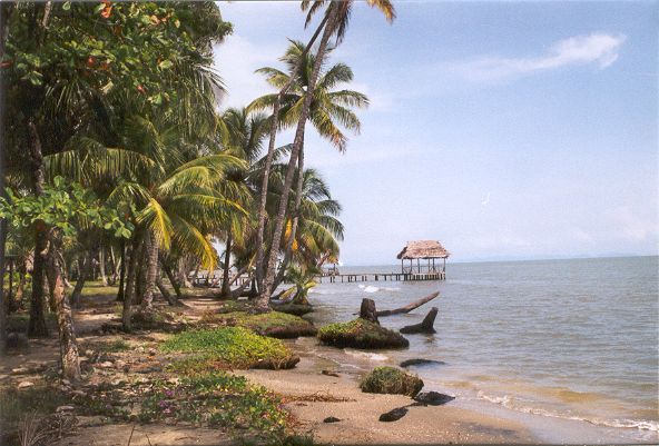 Bord de plage près de Livingstone