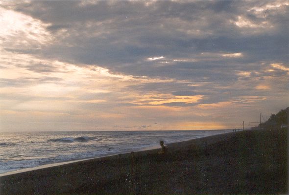 Plage de Monterrico