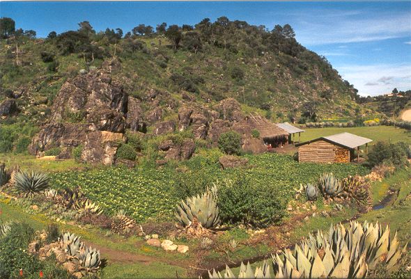 Paysage de montagne vers Todo Santos