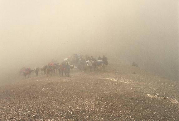 Col du Kangyatse La dans le brouillard et la pluie