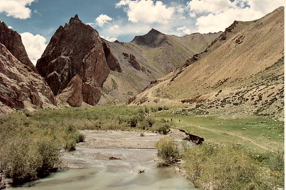 Verdure à l'intérieur des gorges de la Khurna