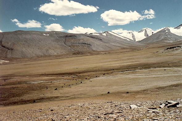 Vallée après le col du Kyamayuru La