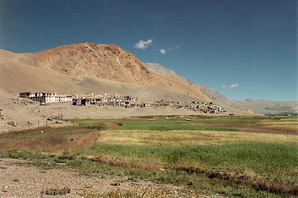 Village de Korzoc au bord du lac Tsomoriri