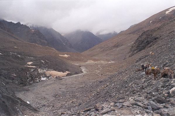 Vue arrière de la montée au col du Shingu La