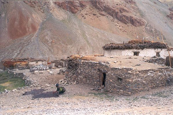 Ladhaki tannant des peaux à Kuru