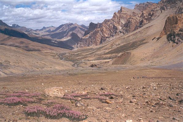 Vallée après le Sengi La