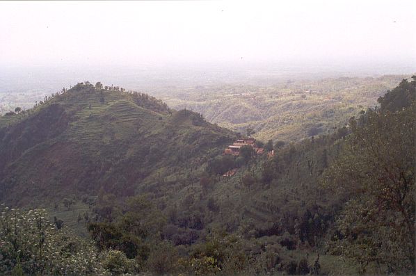 Paysage le long de la route