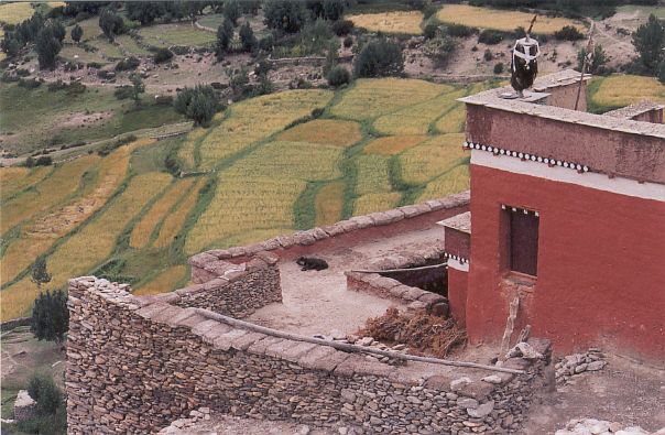 Vue depuis la gompa de Geling