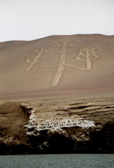 Paracas : Chandelier